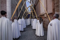 1407-14996-Palmones1