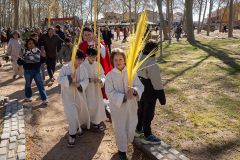 1407-4202-5ESCOLANSIMOSSEN