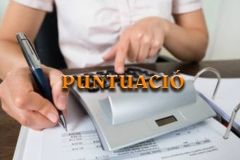 Puntuació